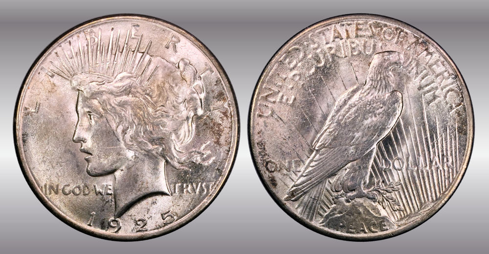 My-Raw-Peace-Dollar-Collection.-.-.-.-Warning!
